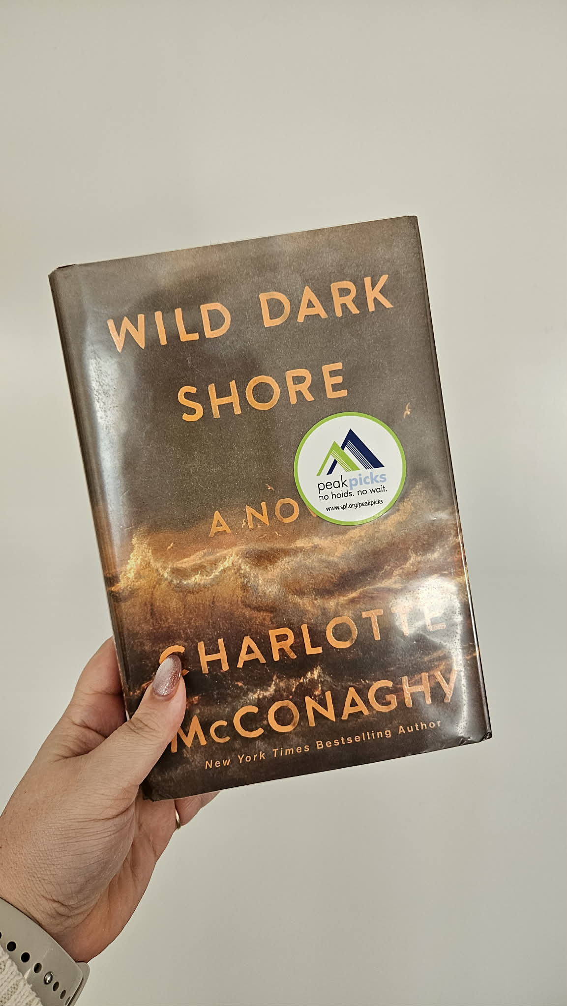 Book cover of Wild Dark Shore by Charlotte McConaghy
