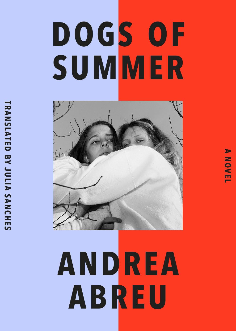 Dogs of Summer by Andrea Abreu Lopez
